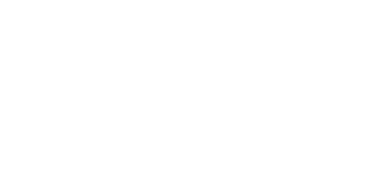 LOGO-bruynzeel