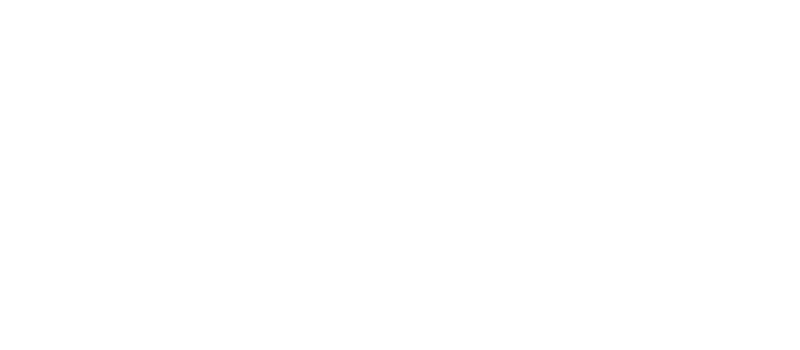 lyra